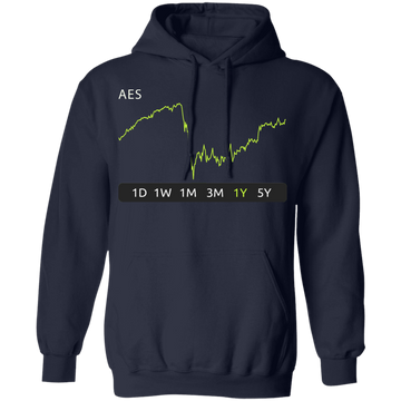 AES Stock 1y Pullover Hoodie
